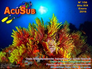 AcuSub-Portada-156